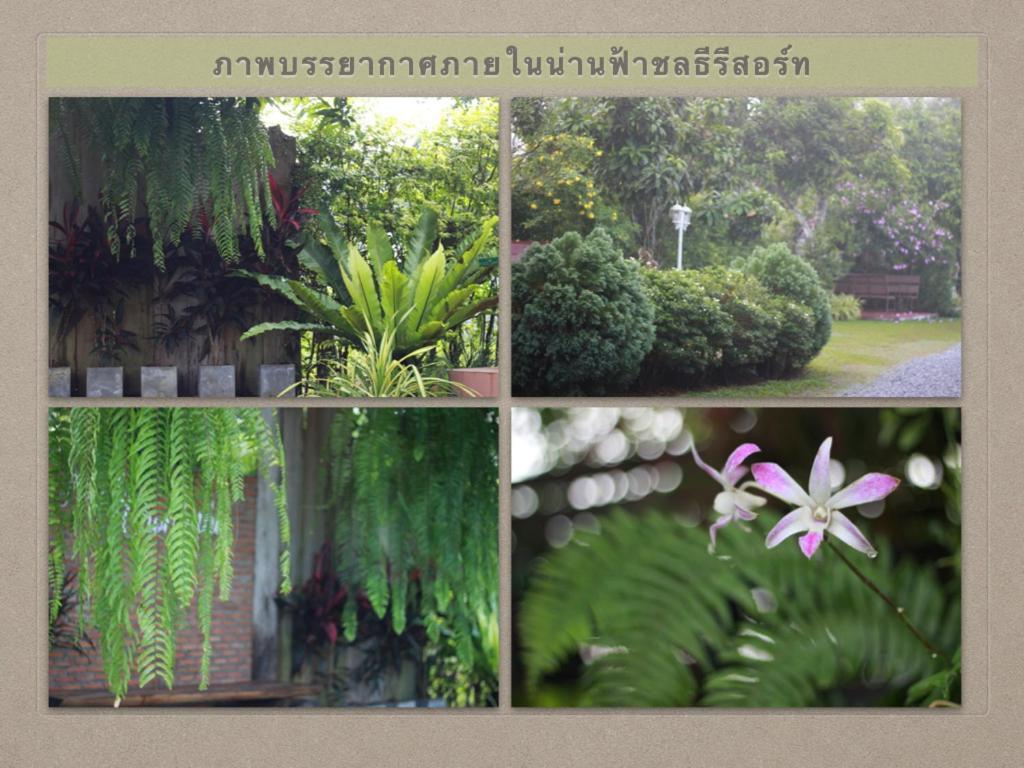 น่านฟ้าชลธีรีสอร์ท Nanfachonlathi Resort Extérieur photo